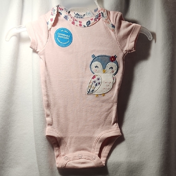 Carters Other - Carter's Pink and Blue Owl Bodysuit
